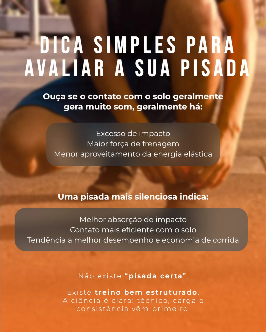 Equipe Marcelo Batista | slide 6/6